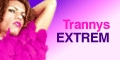Transen Pornos